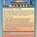 Central Bank Digital Currency
